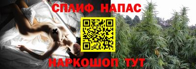 PSILOCYBIN Заволжье