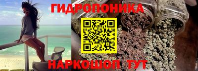 PSILOCYBIN Заволжье
